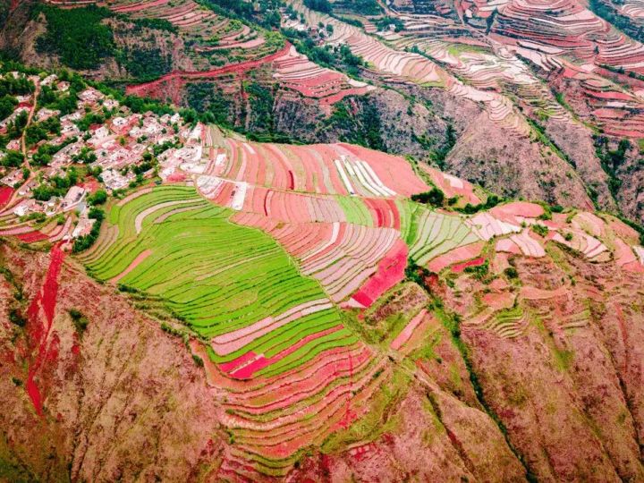 研學(xué)旅行實(shí)踐活動(dòng)需在規(guī)范化的道路上才能長遠(yuǎn)發(fā)展